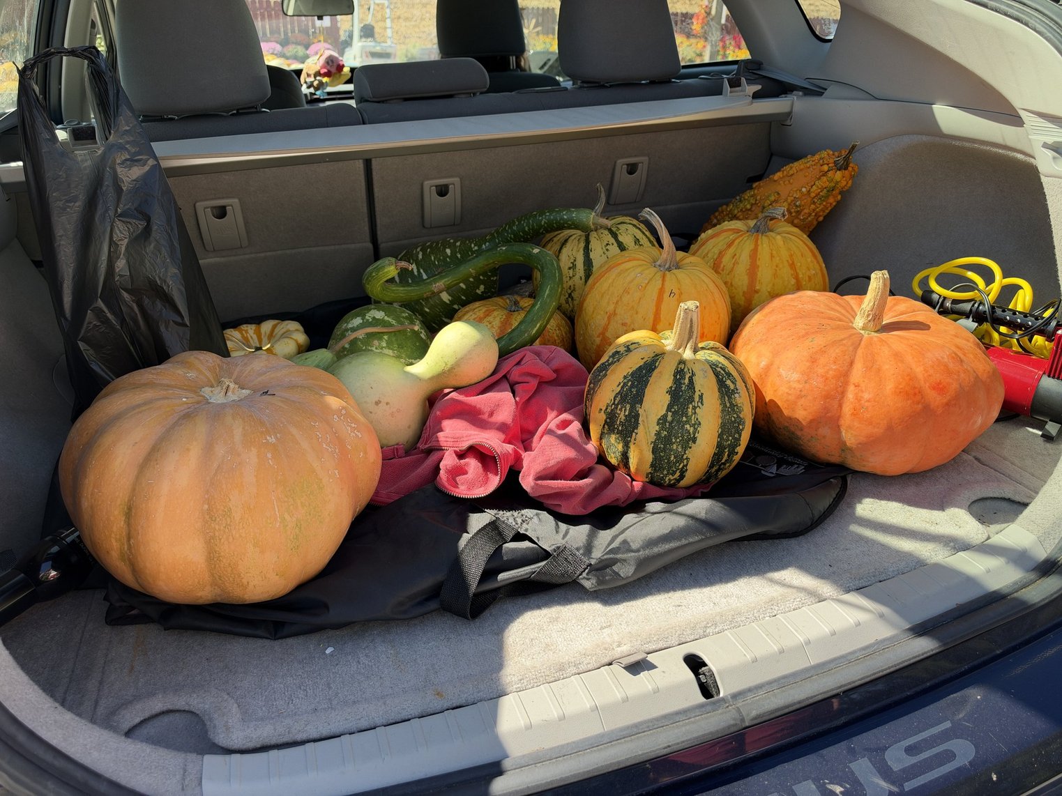 The group haul of gourds.