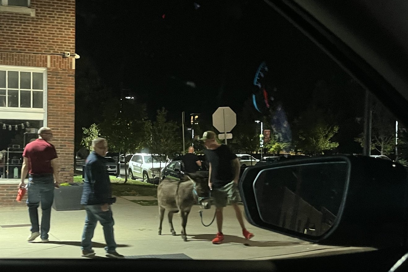 What the hell is even going on here?!